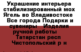Украшение интерьера стабилизированный мох Ягель во Владивостоке - Все города Подарки и сувениры » Изделия ручной работы   . Татарстан респ.,Чистопольский р-н